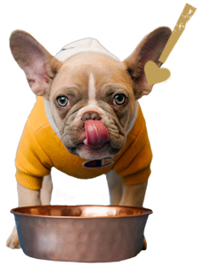 Alimento Advance Bio Premium Máxima Nutrición para perro adulto de raza  pequeña sabor mix en bolsa de 12 kg
