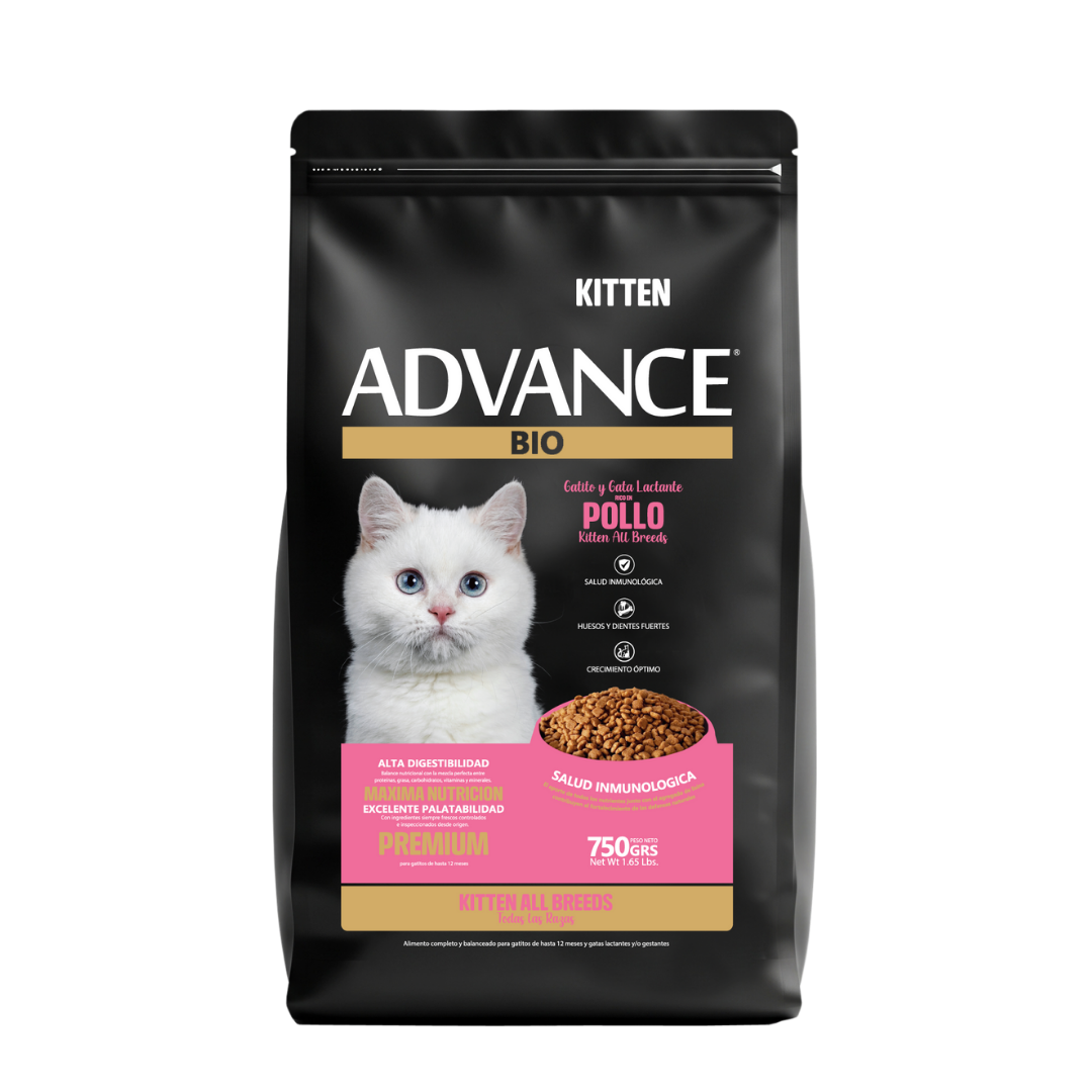 GATOS<br>ALL BREEDS<br>KITTEN