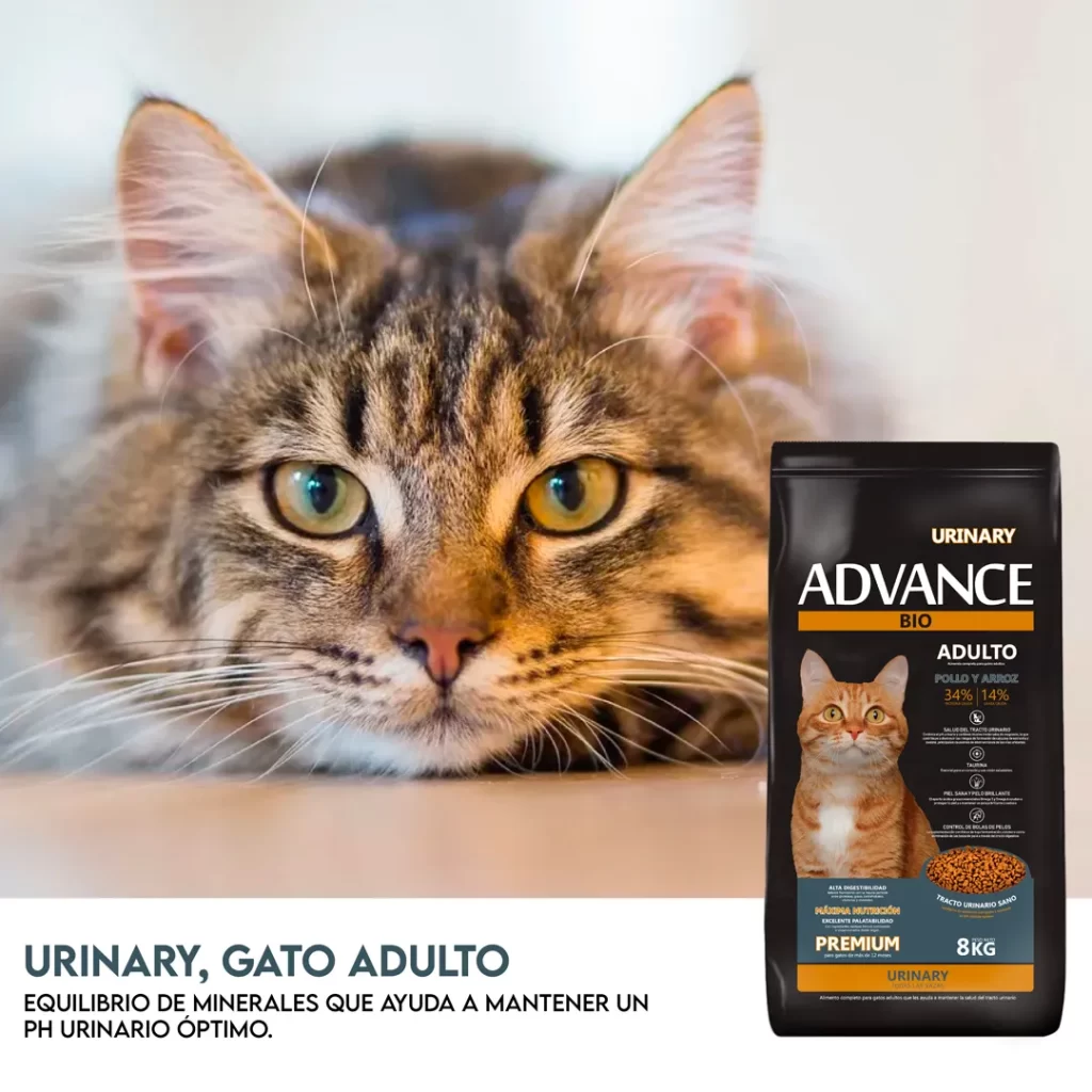 Nuevo alimento para gato adulto urinary