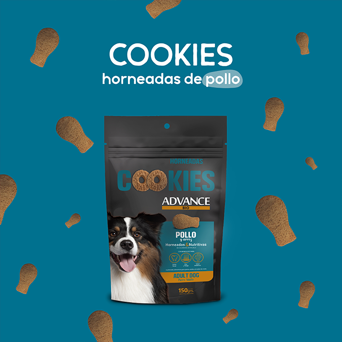 Cookies para perros adultos - Sabor pollo