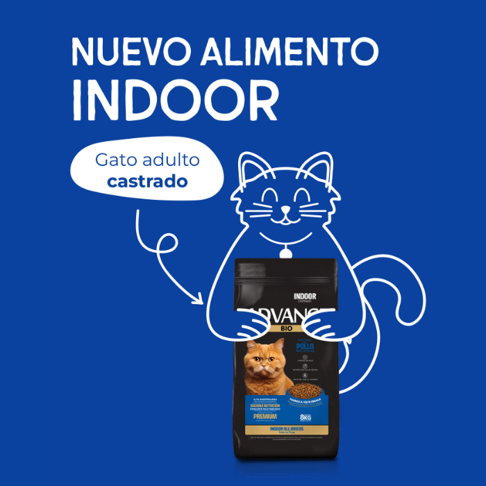 Nuevo alimento Indoor para gatos adultos castrados