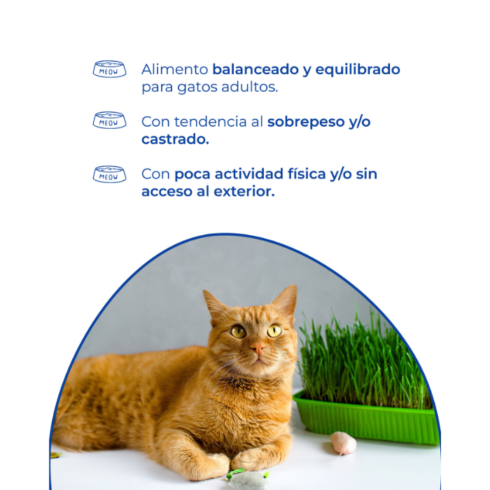 Alimento balanceado y equilibrado para gatos adultos